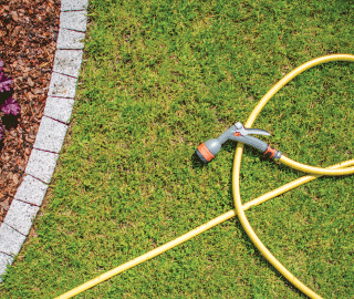 How to manage lawn in drought conditions